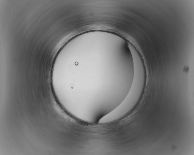 X0000113740946200910211121
