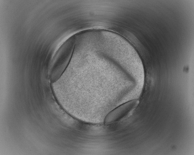 X0000113740948200910211121
