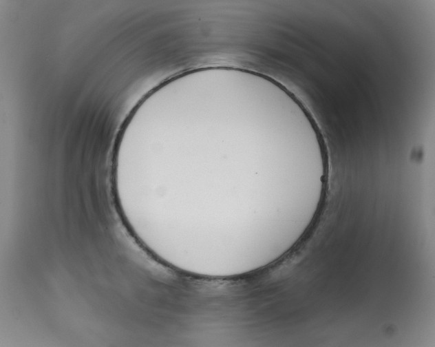 X0000113740949200910211121