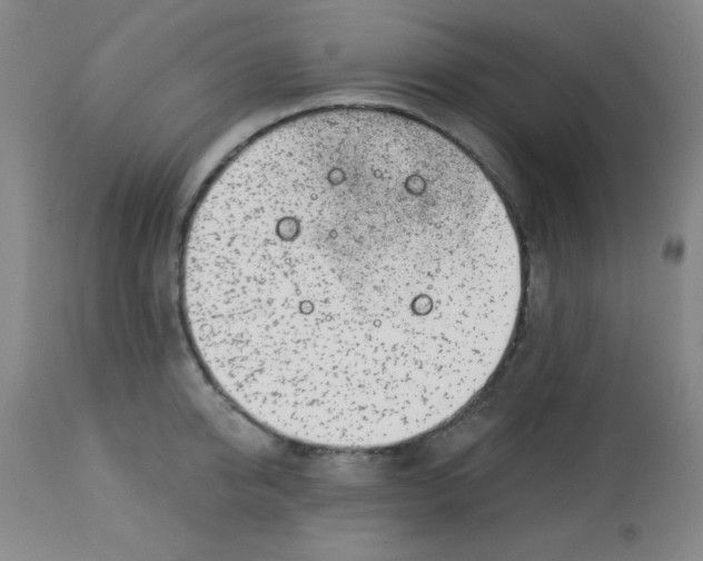 X0000113740950200910211121