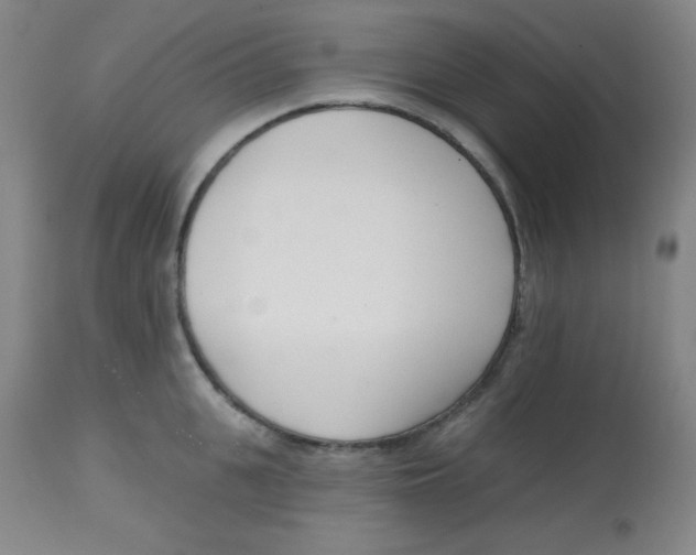 X0000113740951200910211122