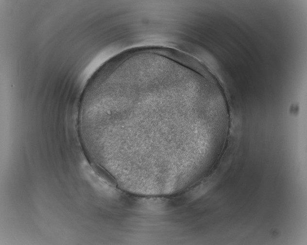 X0000113740952200910211122