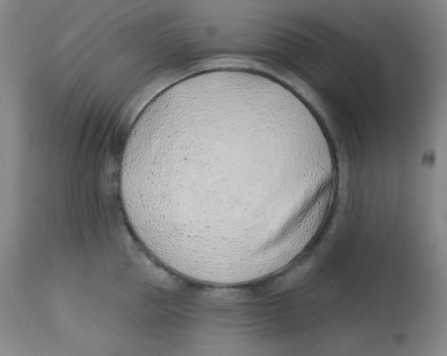 X0000113740953200910211122