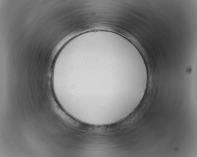 X0000113740955200910211122