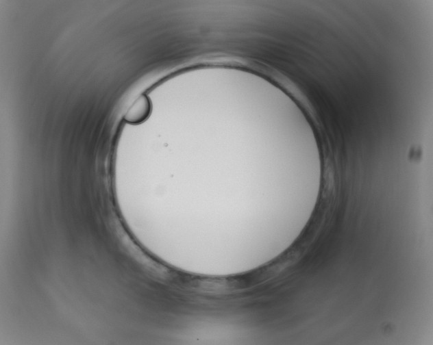 X0000113740959200910211122