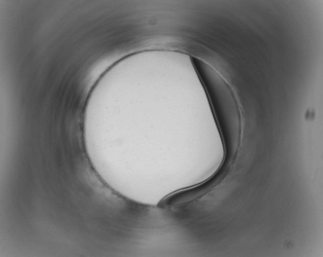 X0000113740960200910211122