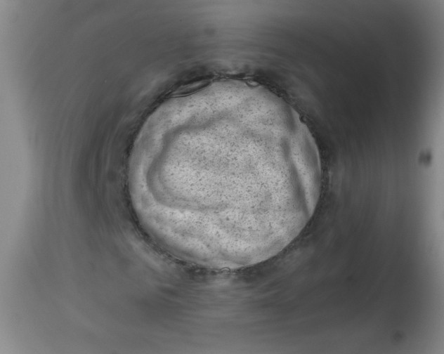 X0000113740961200910211121