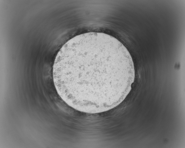 X0000113740964200910211121