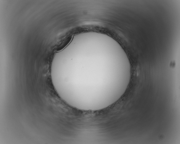 X0000113740965200910211121