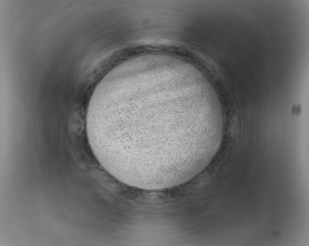 X0000113740966200910211121
