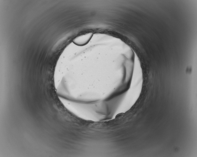 X0000113740967200910211121