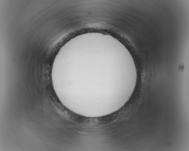 X0000113740968200910211121