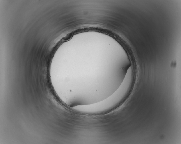 X0000113740969200910211121