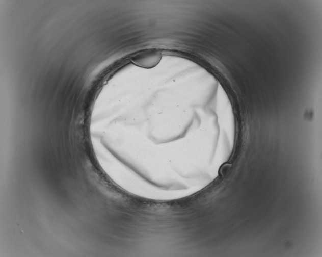 X0000113740971200910211121