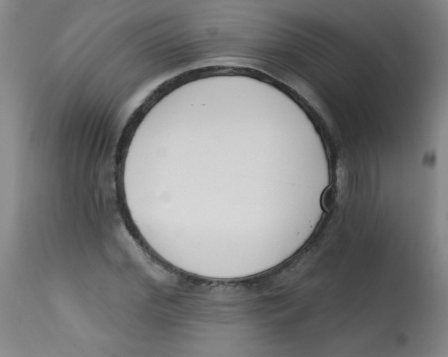 X0000113740972200910211121