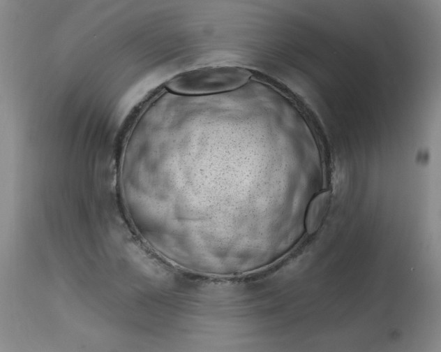 X0000113740973200910211121
