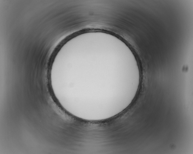 X0000113740976200910211121