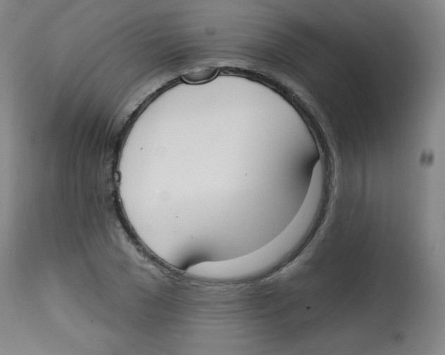 X0000113740977200910211121