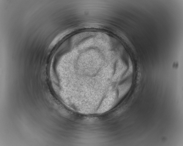 X0000113740978200910211121