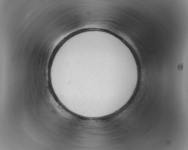 X0000113740980200910211121