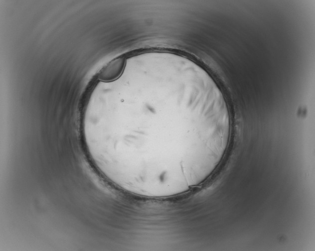 X0000113740981200910211121