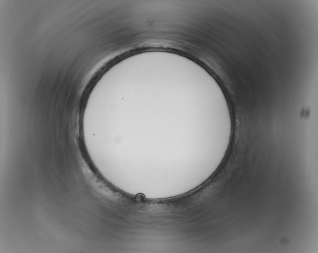 X0000113740984200910211121