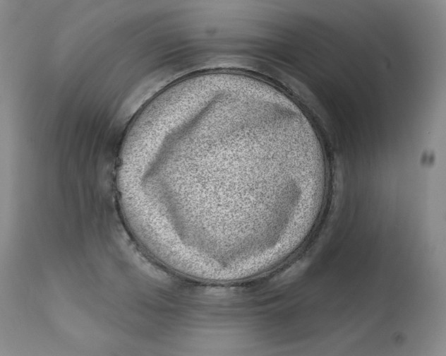 X0000113740985200910211121