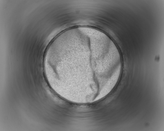 X0000113740986200910211121