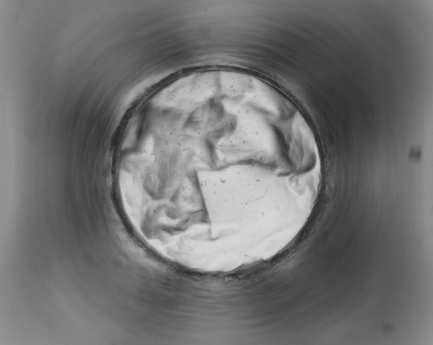 X0000113740987200910211121