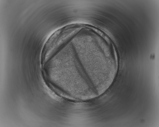 X0000113740988200910211121