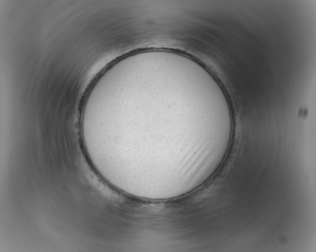 X0000113740990200910211121