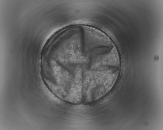 X0000113740992200910211121