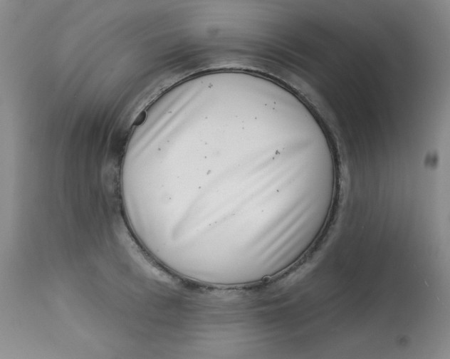 X0000113740993200910211121