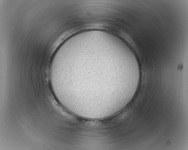 X0000113740994200910211121