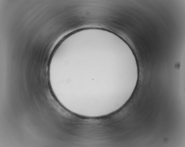 X0000113740996200910211120
