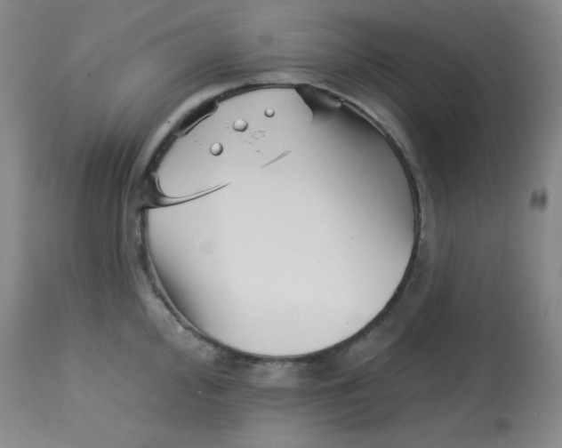 X0000113741000200910211120