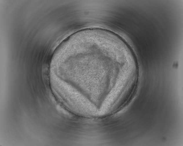 X0000113741001200910211120