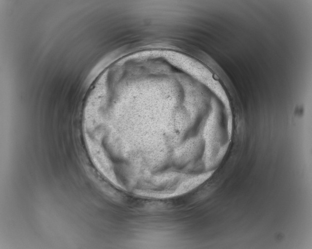 X0000113741002200910211120