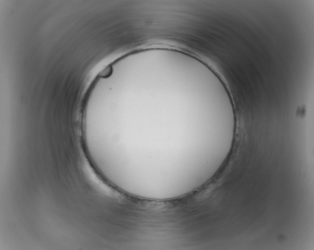 X0000113741003200910211120