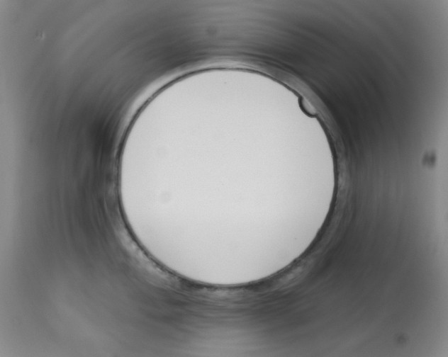 X0000113741004200910211120