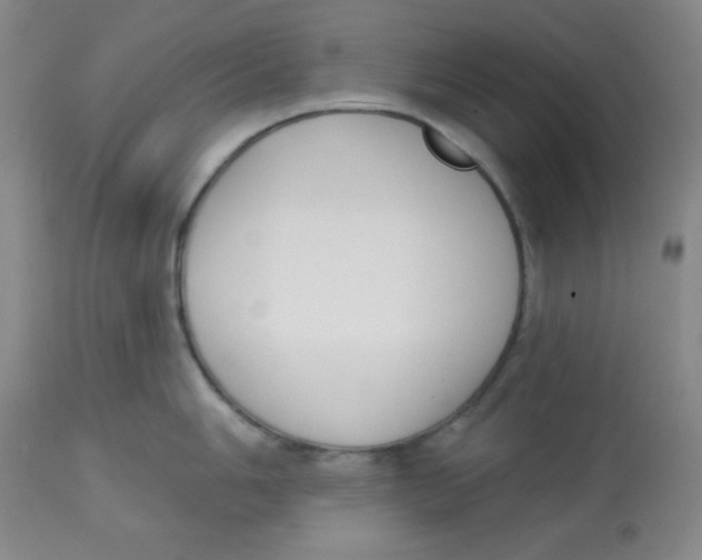 X0000113741006200910211120