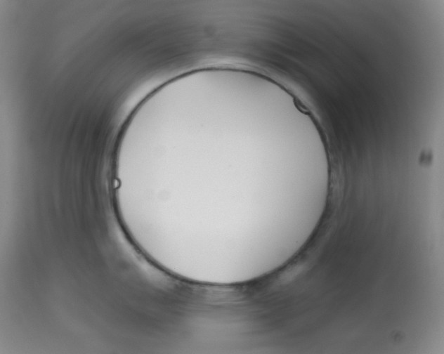 X0000113741007200910211120