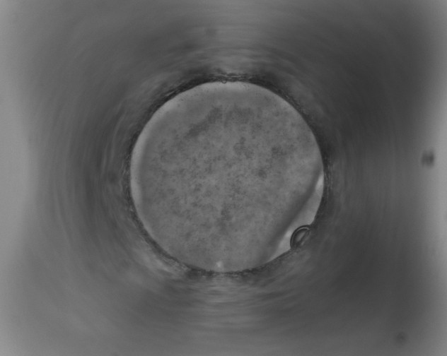 X0000113741009200910211120