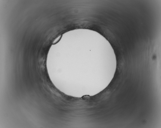 X0000113741010200910211120