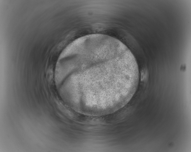 X0000113741011200910211120