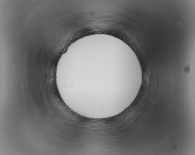 X0000113741012200910211120