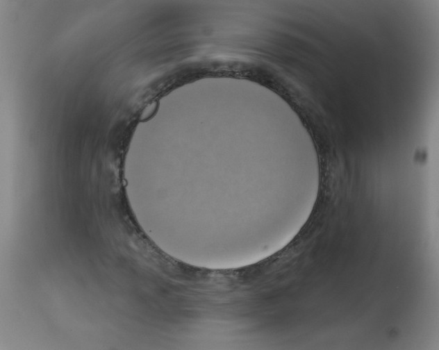 X0000113741013200910211120