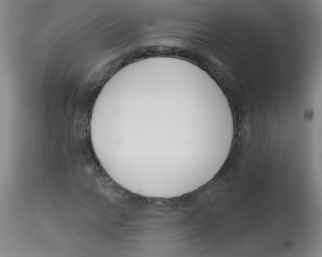 X0000113741014200910211120
