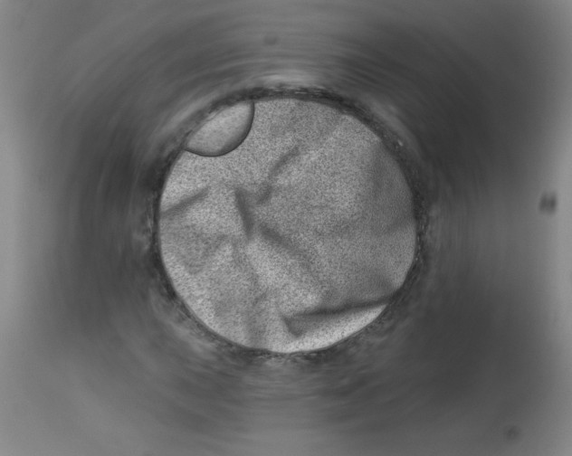X0000113741015200910211120