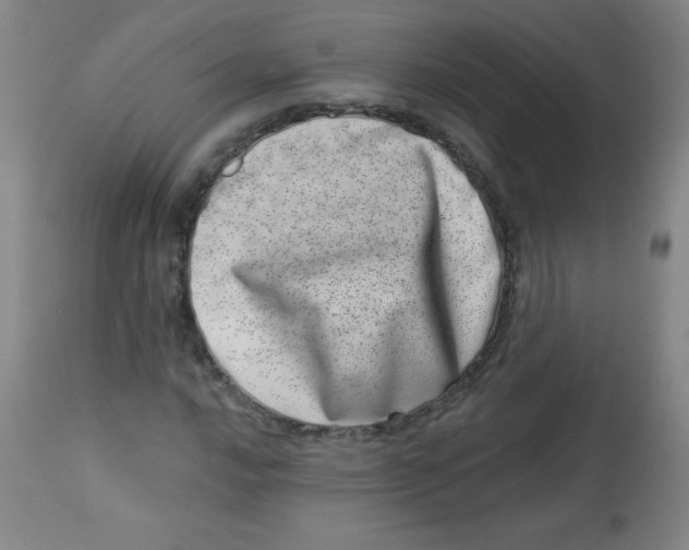 X0000113741016200910211120